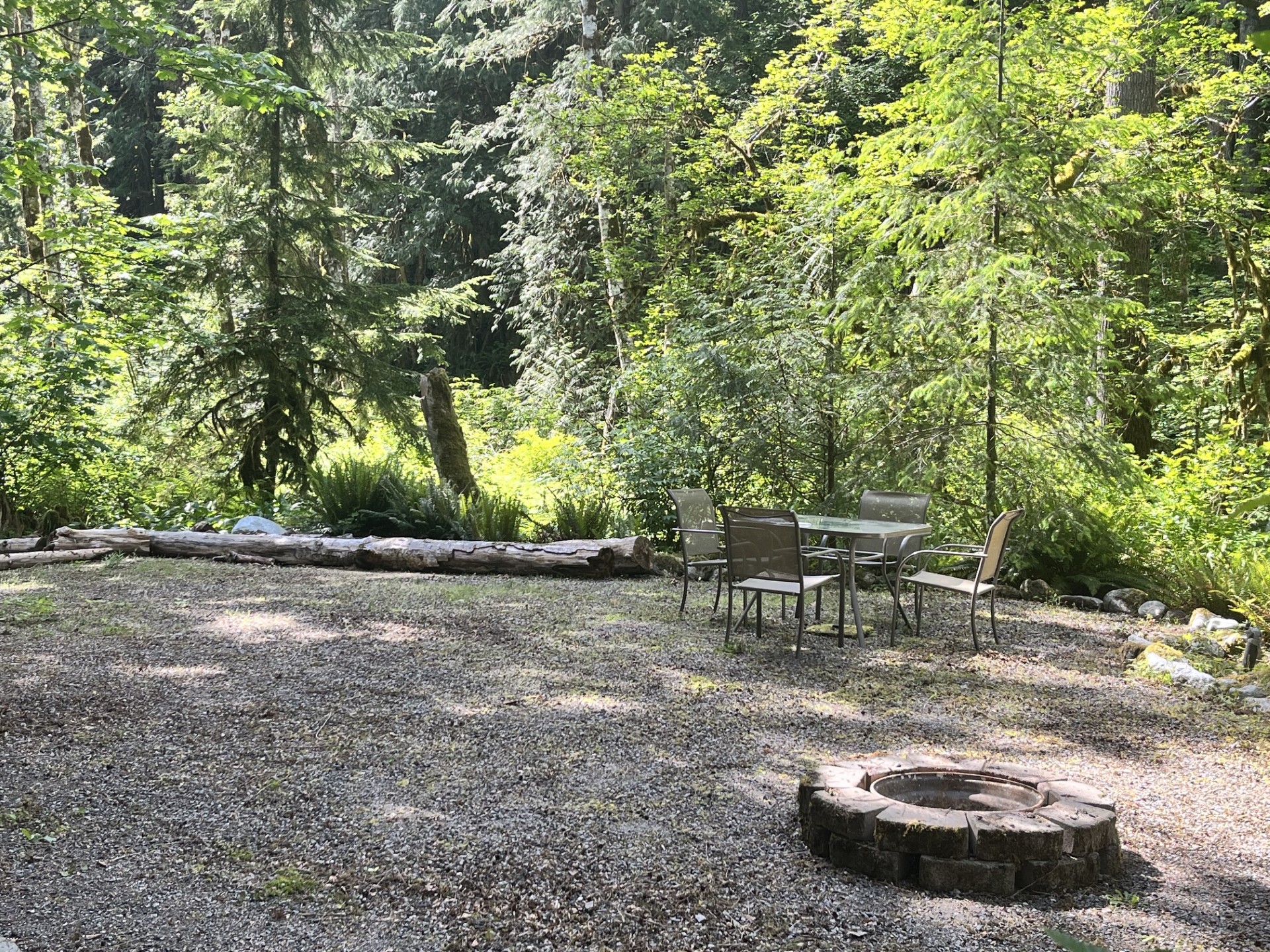 Corvid Creek campsite viewed from the east