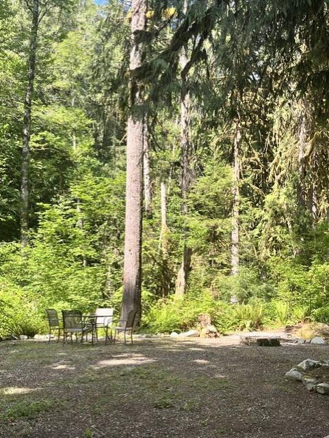 Corvid Creek campsite viewed from the west