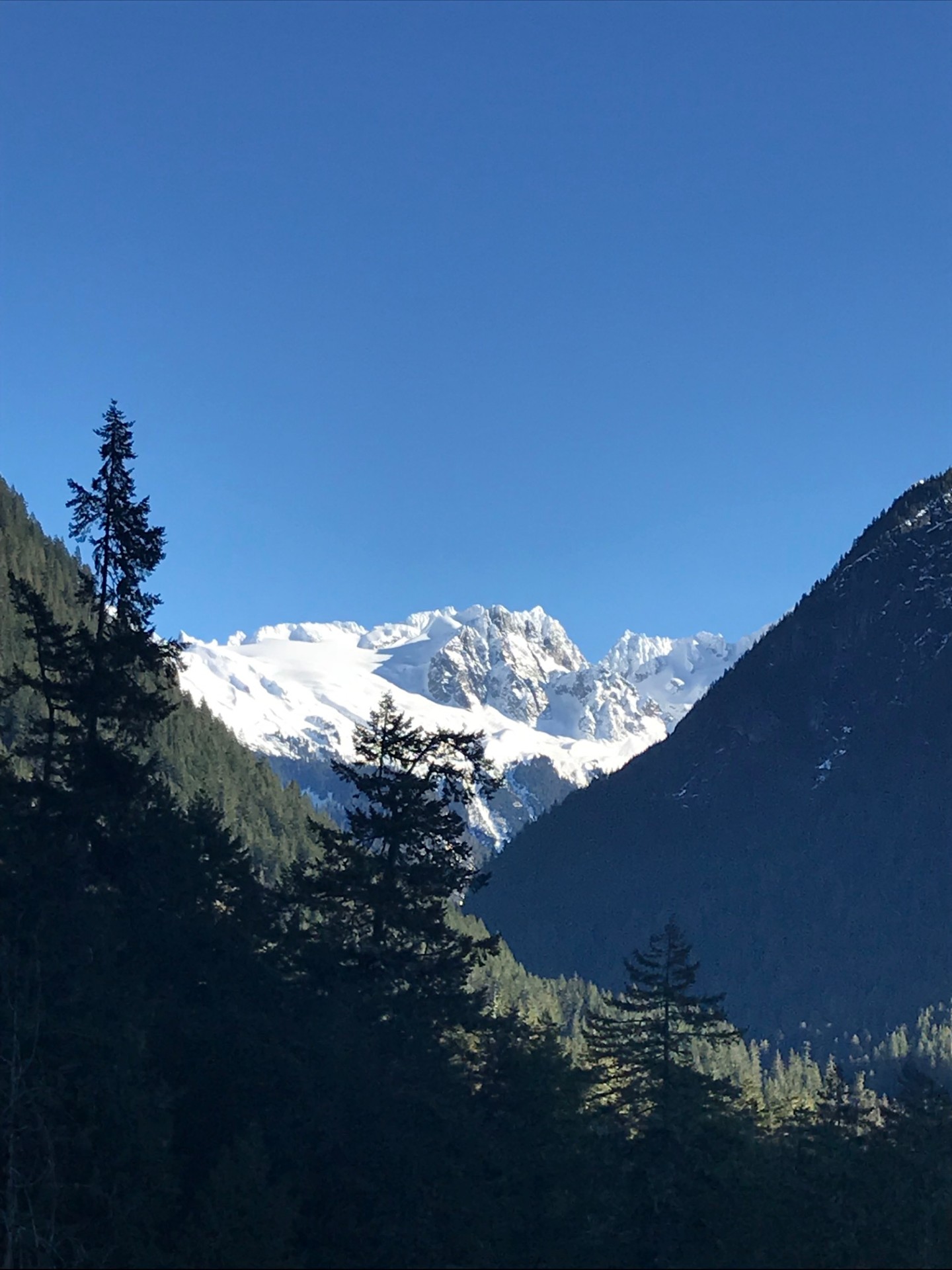 Cascade Pass trail in the North Cascades