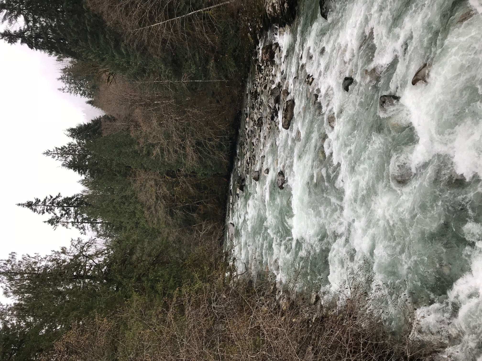 Cascade River flowing through the North Cascades