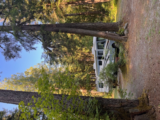 RV at the American Alps campsite among the trees